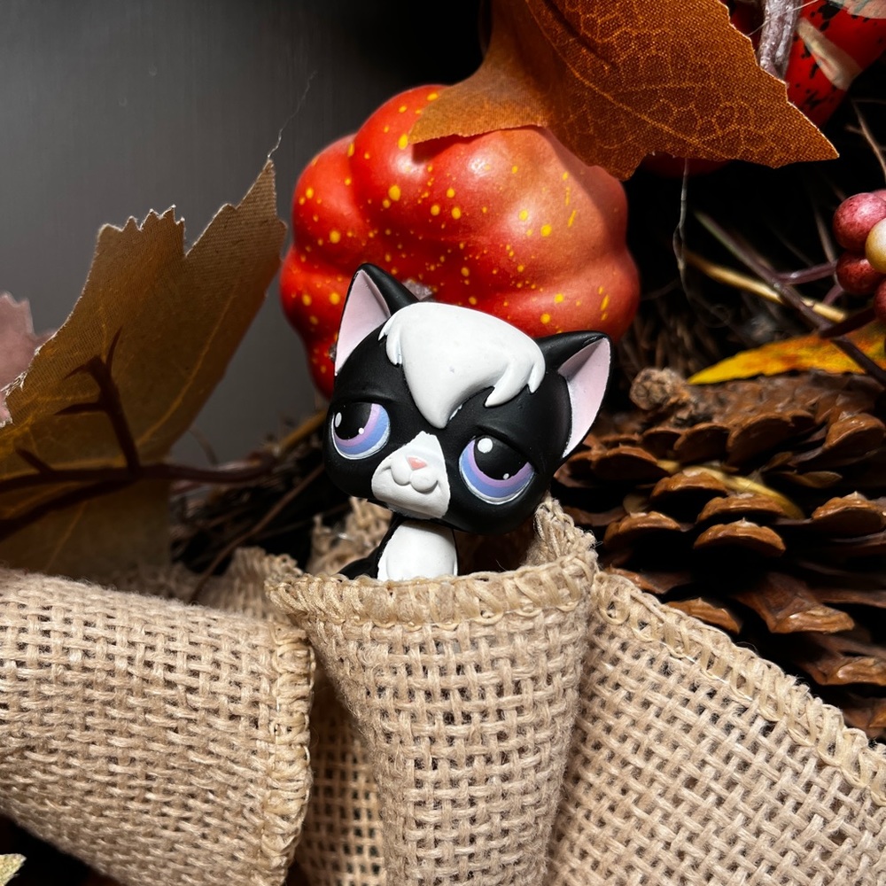 Meet your Posher, Tessa